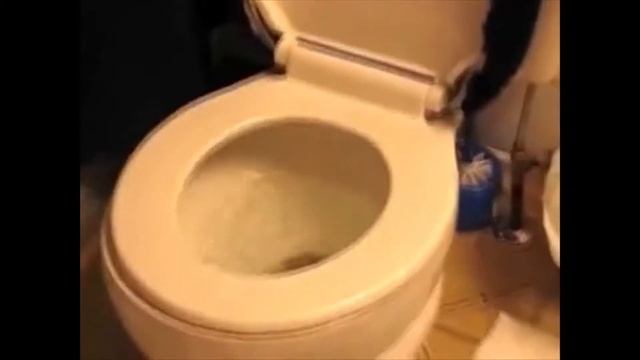 Смешные приколы для души! смотреть онлайн