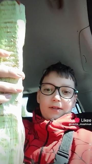 Ем гигантскую зелёную шаурму смотреть онлайн