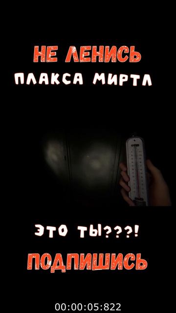 ПЛАКСА МИРТЛ | Космонавт PLAY смотреть онлайн