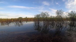 Половодье на Севере. Рыбалка на озере поплавочной удочкой. 29.05.2020
