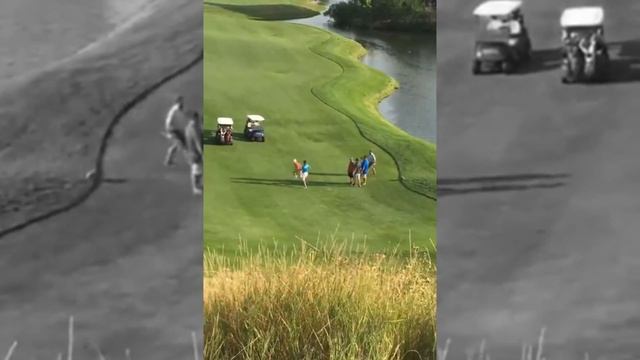 Гольф клуб / Clubs Down