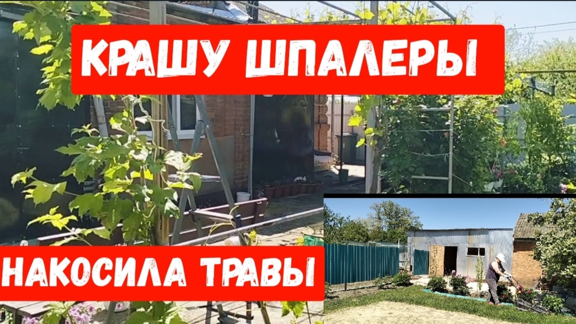 #27🌷22 мая.Жду сына/Покрасила шпалеры/Накосила травы/Черешня спеет смотреть онлайн