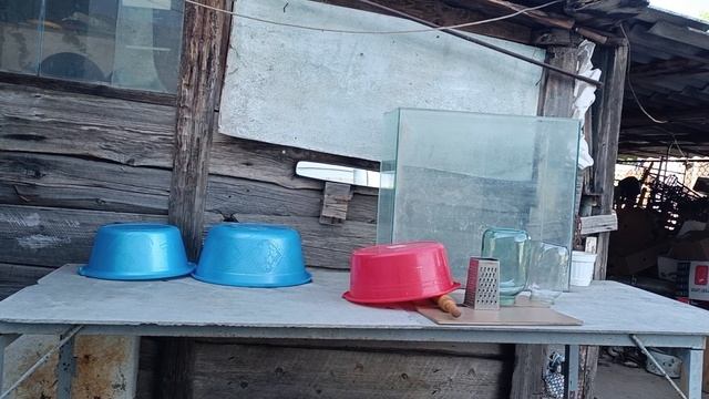 Динская. 24.05.25. Мариную молодую капусту. смотреть онлайн