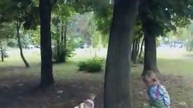 Белка и собака смотреть онлайн