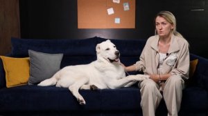 Алабай Среднеазиатская овчарка — все о породе, плюсы ?