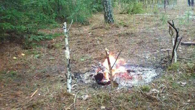 Скалы Владимирской области