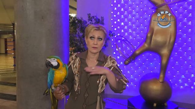 Дрессировщики попугаев - Екатерина Мирошниченко и Михаил Игнатов смотреть онлайн