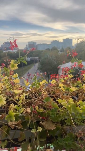 Отель Старый город 4 звезды. Рязань. смотреть онлайн