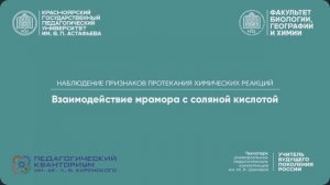 05. Взаимодействие мрамора с соляной кислотой/признаки протекания химических реакций /опыт