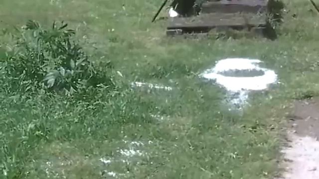 18 06 2013 После летней грозы