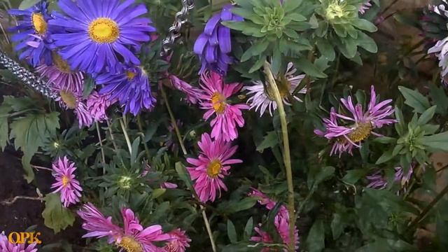 ЗОВУТ ЗОВУТ МЕНЯ ГОДА    Владимир Беспрозванный