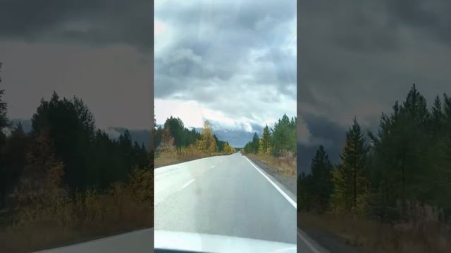 Закрыли грибной сезон  #топ #любовь #отношения