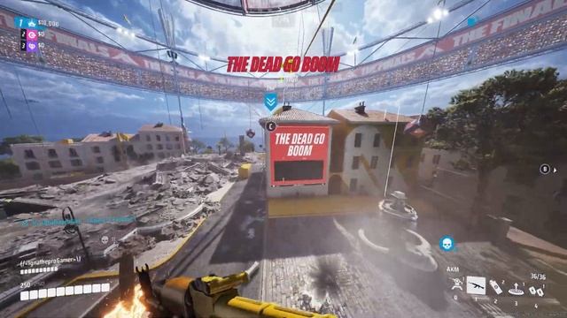 Auto Insurance Insights