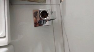 Ремонт гигиенического душа.