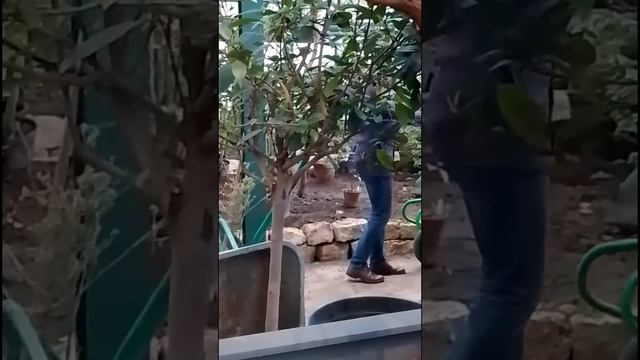 Бордюр из камня смотреть онлайн