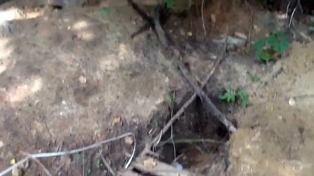 Парк Останкино