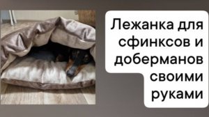 Лежанка для гладкошерстных своими руками