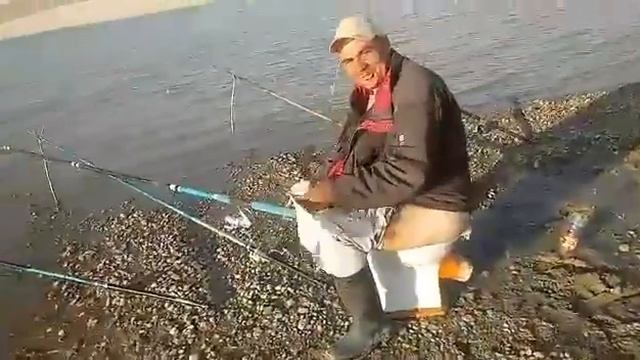 Смешная рыбалка смотреть онлайн