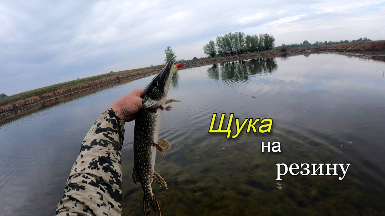 В озере воды по колено, а щука бросается на все приманки. Рыбалка весной на спиннинг смотреть онлайн