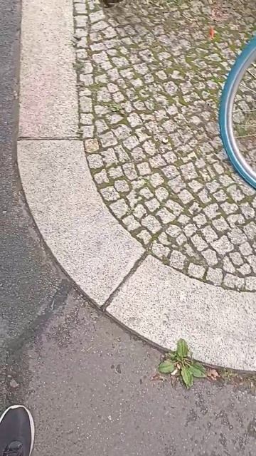 полукруглые гранитные бордюры, в то время возможно ли смотреть онлайн