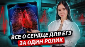 ВСЁ о сердце для ЕГЭ по биологии 2025 | Задания 13-16 | Умскул
