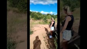 Первый раз на BSE EVO 110