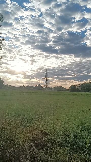 КРАСОТА смотреть онлайн