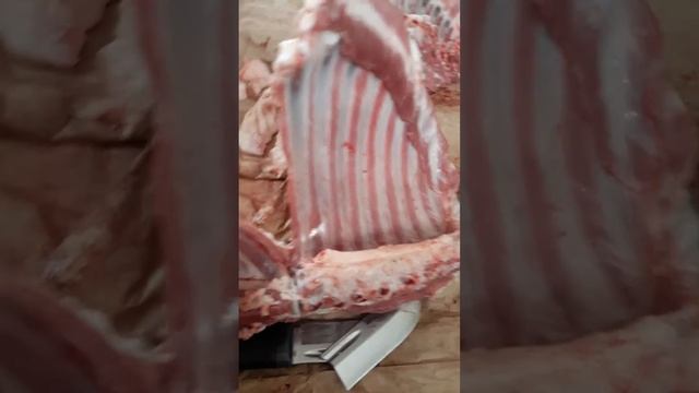 Кизлярские ножи самур 2 смотреть онлайн