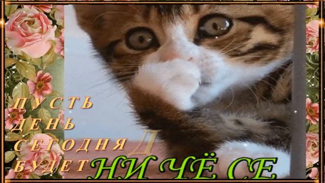 С ПОЖЕЛАНИЕМ САМОГО СЧАСТЛИВОГО ДОБРОГО УТРА! Музыкальная открытка смотреть онлайн