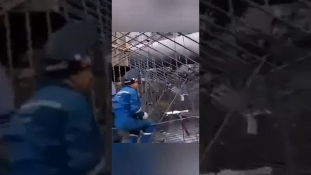 #Прикольные приколы #смотреть всем#😃 смотреть онлайн