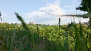 Даня попал в аварию?! 😢😭 Будет ли он жить?... 
Аватар ворлд✿