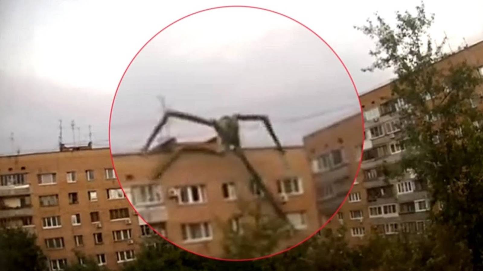 ТОП Крутых Мистических Видео, которых ты ещё ни разу не видел! ВЗЛОМАЙ МОЗГ НЕОБЪЯСНИМЫМ! #мизери смотреть онлайн