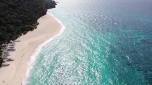 Fally Ipupa - Alliance