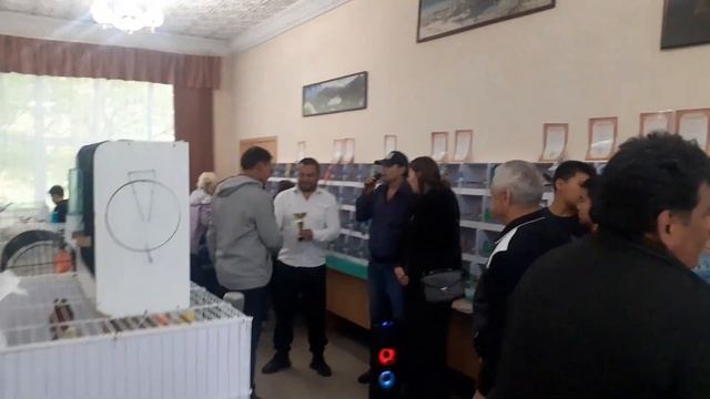 выставка второй день смотреть онлайн