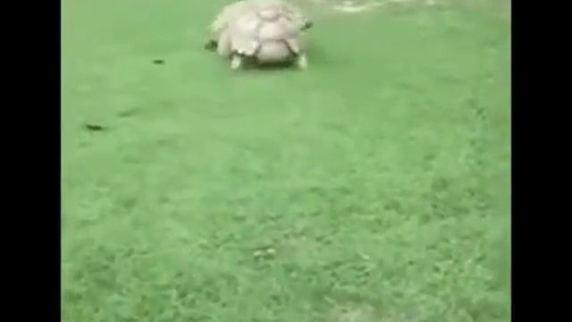 Надо верить в себя