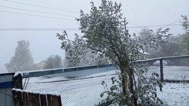 Сюрприз природы.