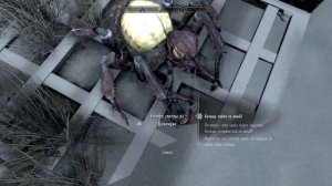 Skyrim. Нимфа элитры из Деменции