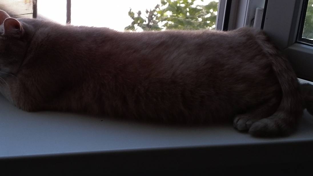 Влог. Борьба с травой продолжается. Связала образец, кулинарное фиаско. смотреть онлайн