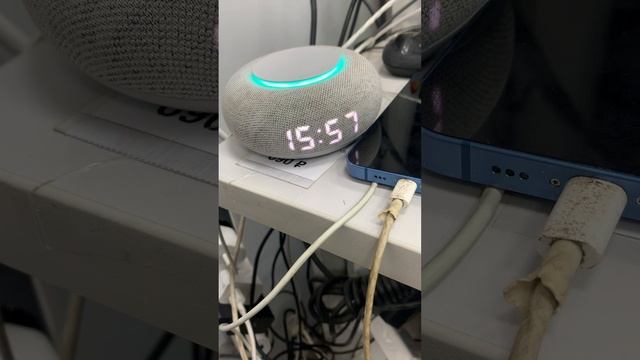 Капсула мини