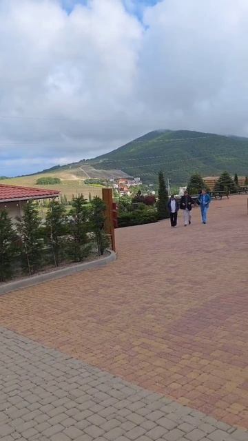 виноградники и винодельня в горах Новороссийска шато пино смотреть онлайн