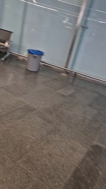 Жесткий спец контроль в Аэропорту Внуково смотреть онлайн