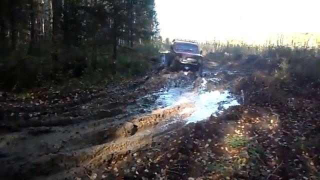 на нивах по лесу.MP4