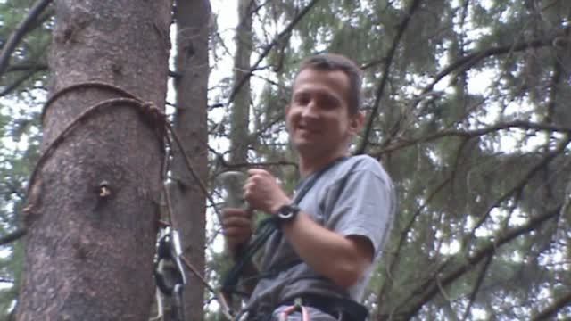 2011 РЭКС июнь лес