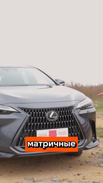 Китайский Lexus NX350h смотреть онлайн