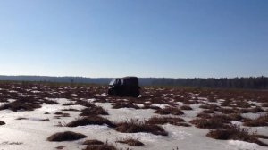На снегоболотоходе Лесник-М по Сарскому болоту Яросла