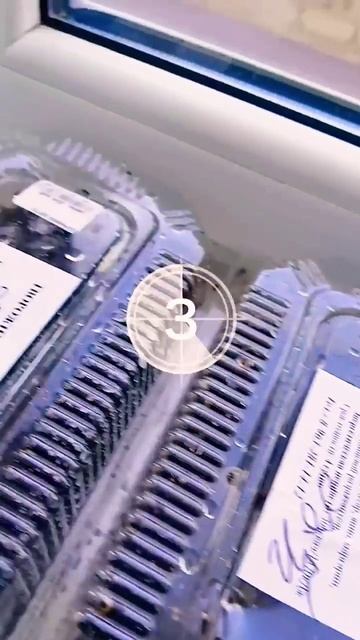 ВЫРАЩИВАЕМ РАССАДУ НА ПОДОКОННИКЕ. ЭТО ПРОСТО. смотреть онлайн