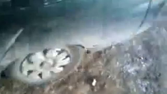 машина едет сама по себе без водителя смотреть онлайн