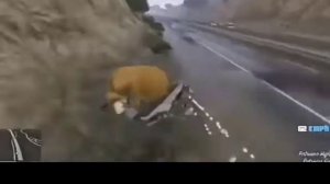 Мем медведь 🐻 из маши и медведь едет на мотоцикле а за