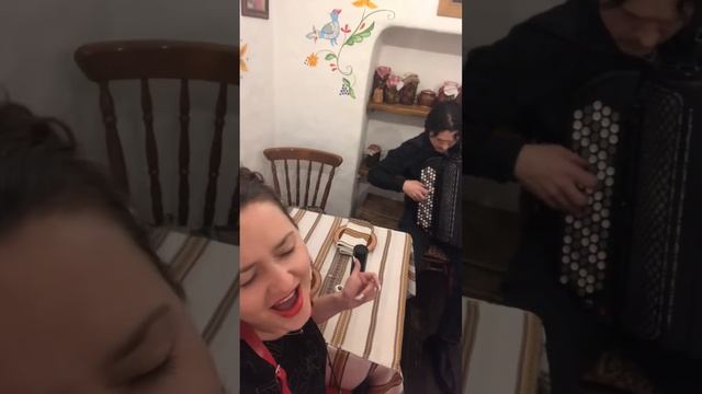 Любимая песня (кавер под баян А.Розенбаум «Ау» поет Лена 