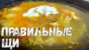 Как вкусно приготовить ЩИ из свежей капусты. Щи рецепт классический пошаговый.